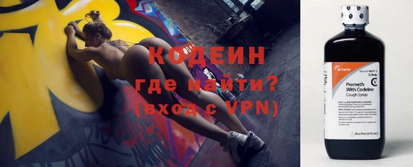 ГАЛЛЮЦИНОГЕННЫЕ ГРИБЫ Покачи