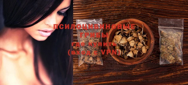ГАЛЛЮЦИНОГЕННЫЕ ГРИБЫ Покачи